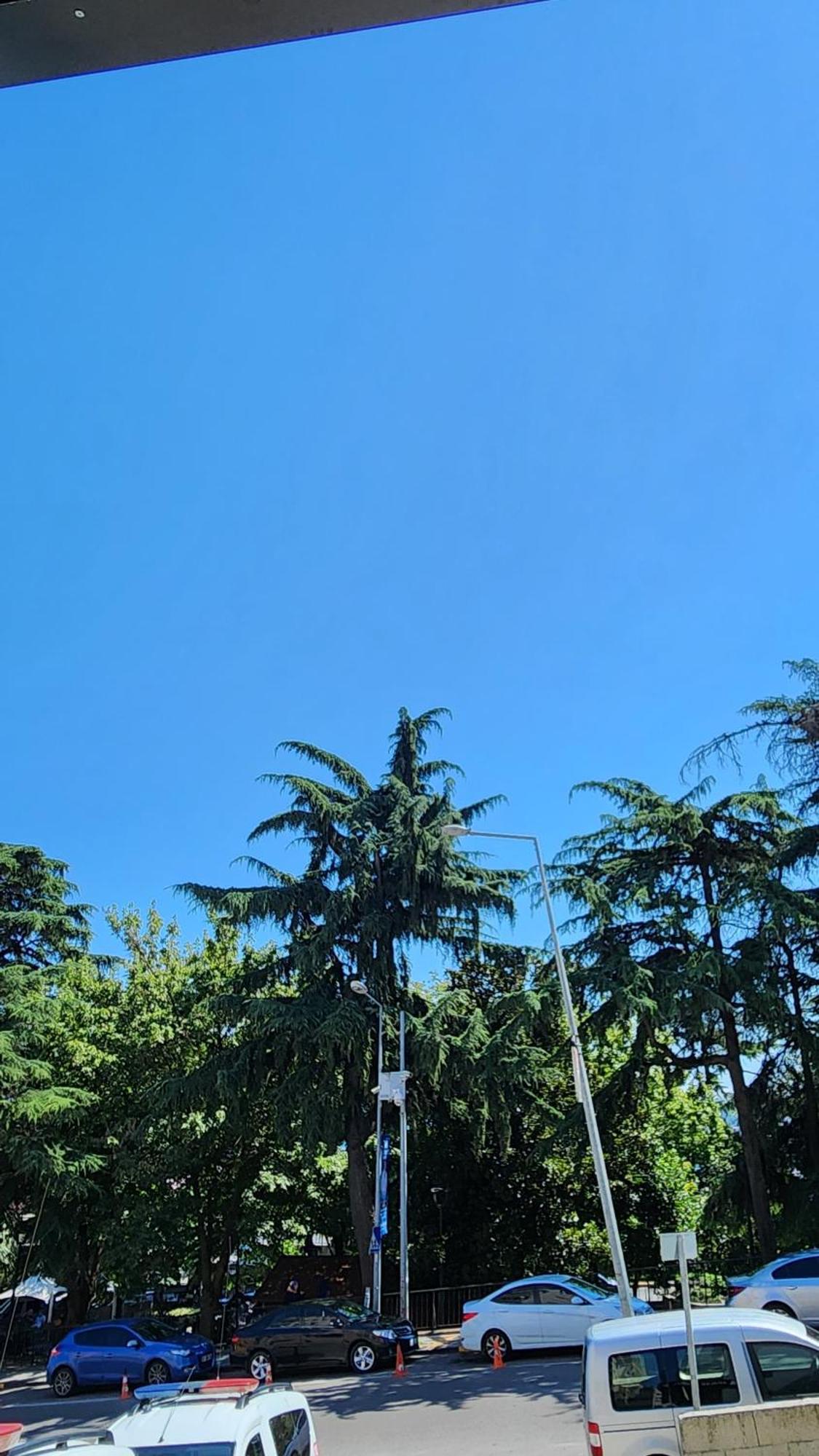 Esa Apart Hotel Trabzon Bagian luar foto